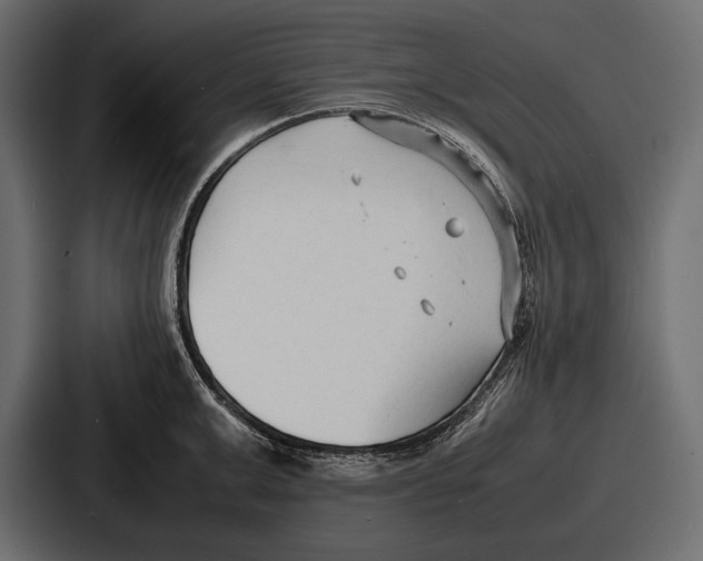 X0000086720999200705111551