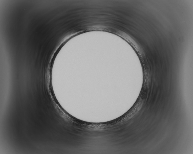 X0000086721000200705111551