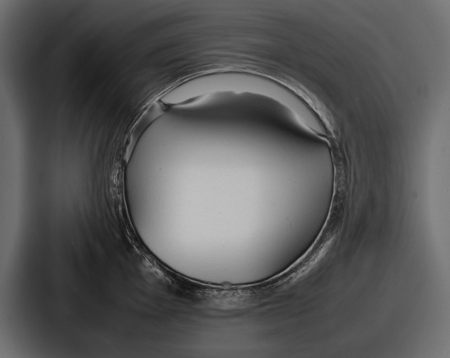 X0000086721001200705111551