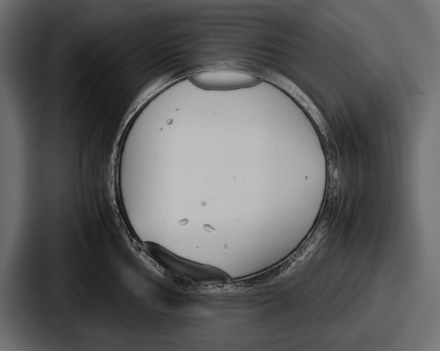 X0000086721002200705111551