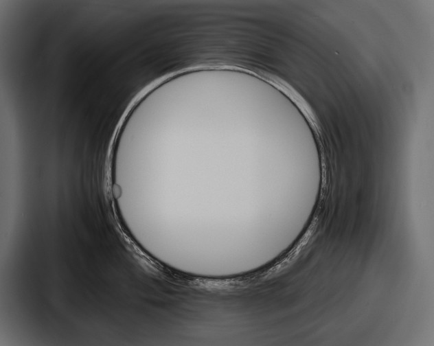 X0000086721004200705111551