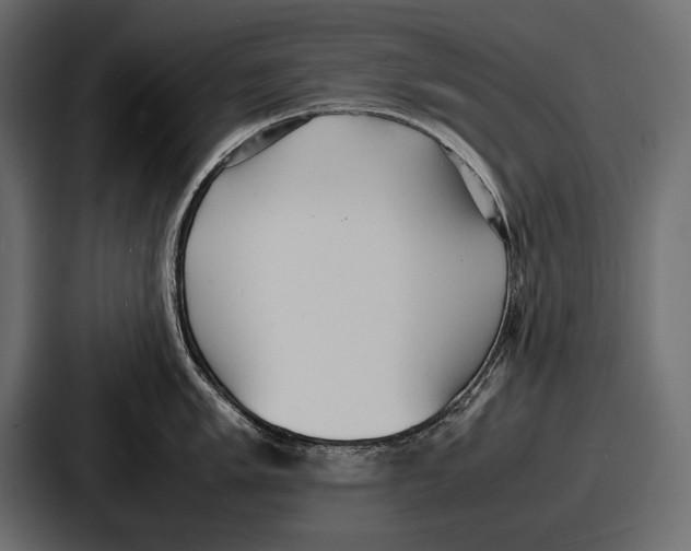 X0000086721005200705111551