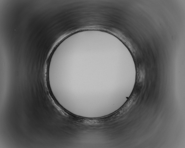 X0000086721006200705111551