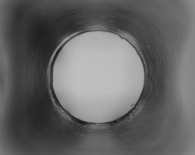 X0000086721008200705111551