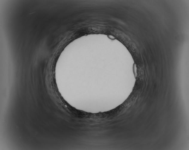 X0000086721009200705111550