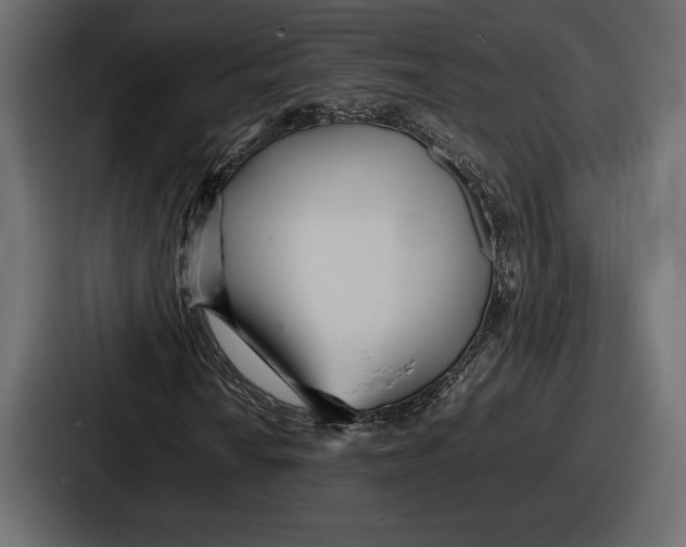 X0000086721010200705111550