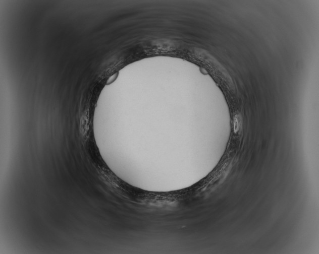 X0000086721011200705111550