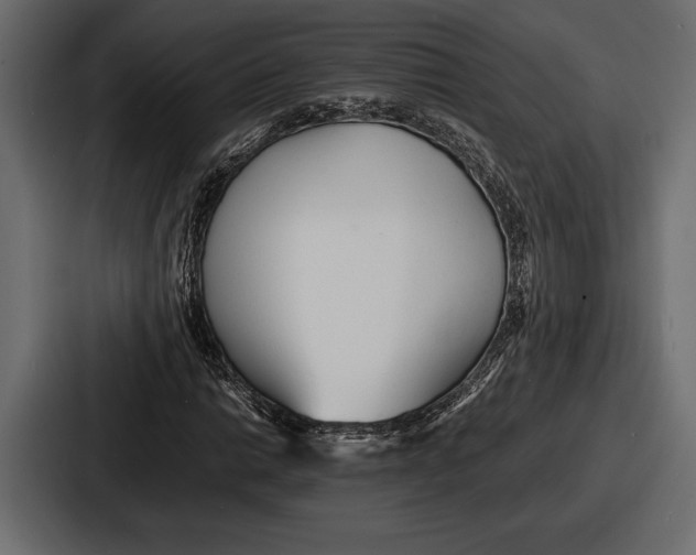 X0000086721014200705111550