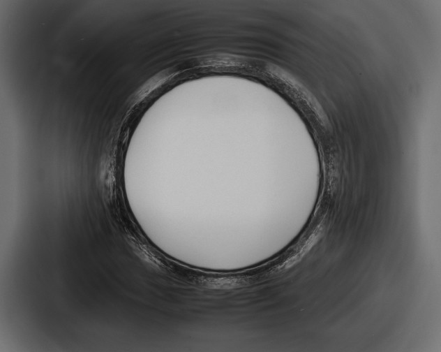 X0000086721017200705111551