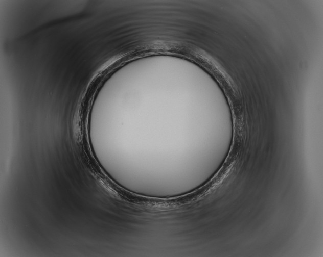 X0000086721018200705111551