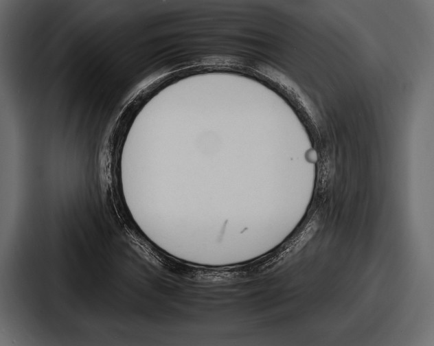 X0000086721019200705111551