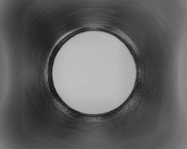 X0000086721020200705111551