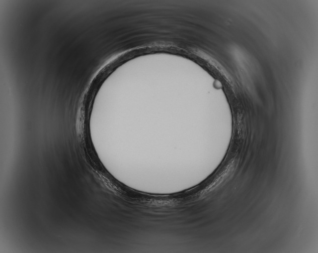 X0000086721021200705111551