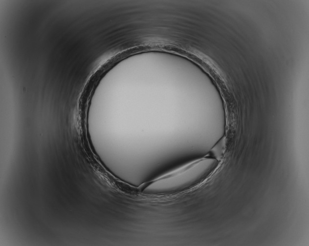 X0000086721022200705111551