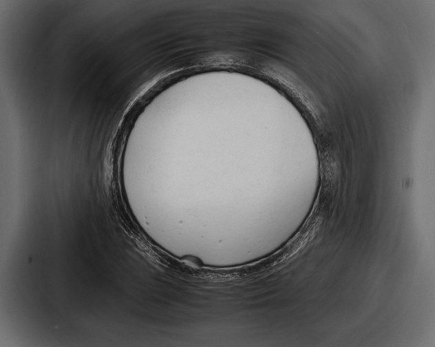 X0000086721023200705111551