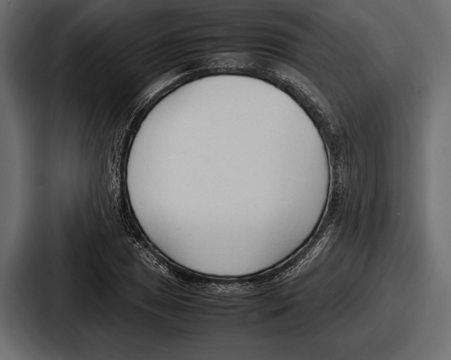 X0000086721025200705111551