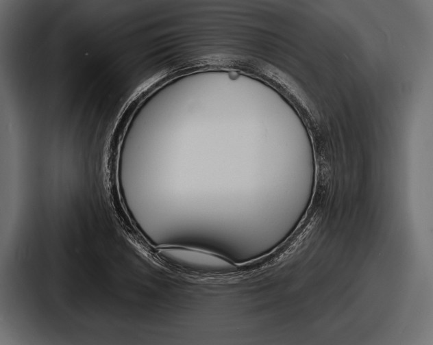 X0000086721026200705111551