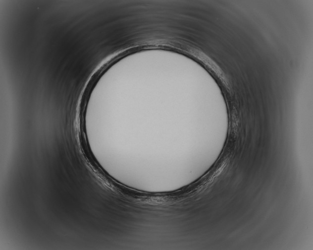 X0000086721028200705111551