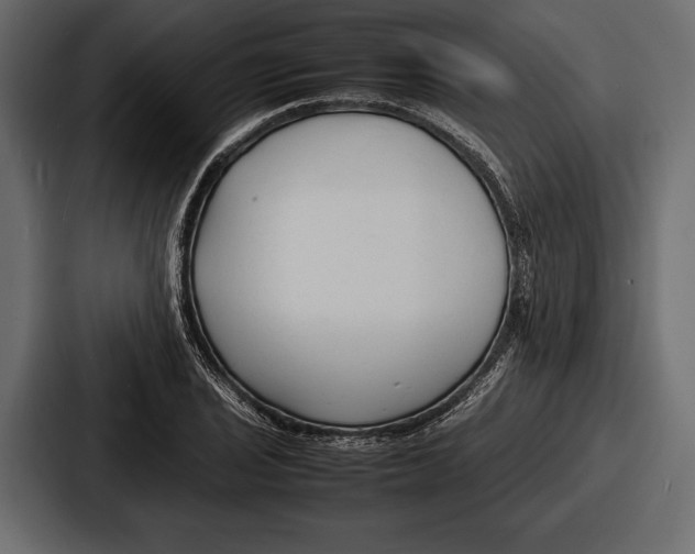 X0000086721029200705111551