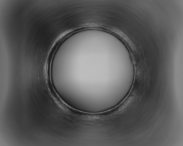 X0000086721030200705111551