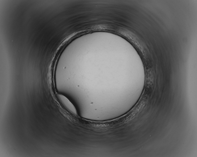 X0000086721031200705111551