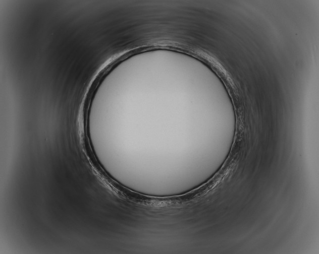 X0000086721032200705111551