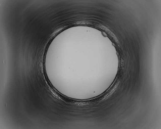 X0000086721033200705111551