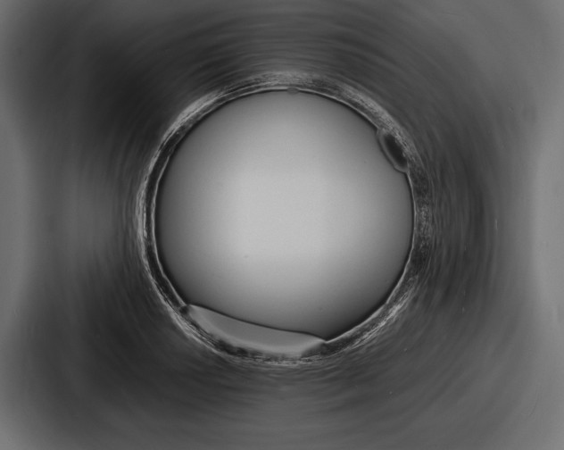 X0000086721034200705111551