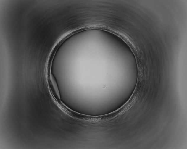 X0000086721038200705111551