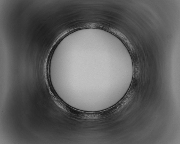 X0000086721039200705111551