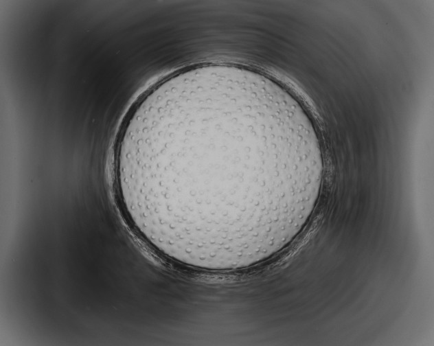 X0000086721040200705111551