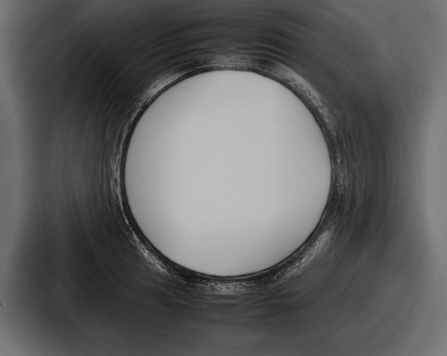 X0000086721041200705111551