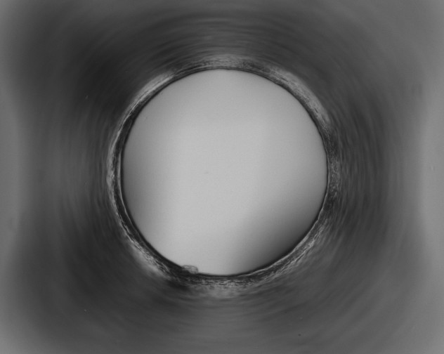 X0000086721042200705111551