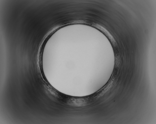 X0000086721043200705111551