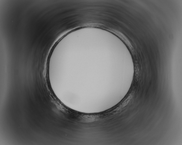 X0000086721044200705111551