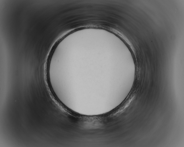 X0000086721045200705111551