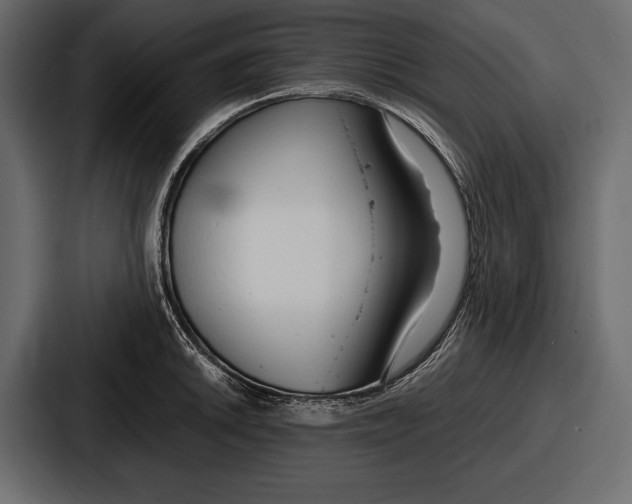 X0000086721046200705111551