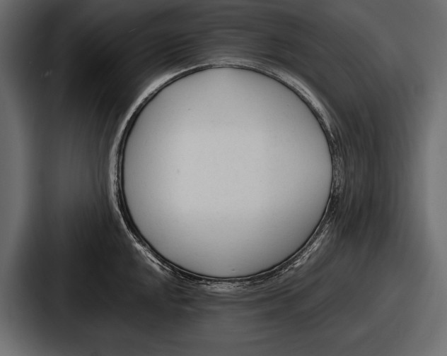 X0000086721048200705111551