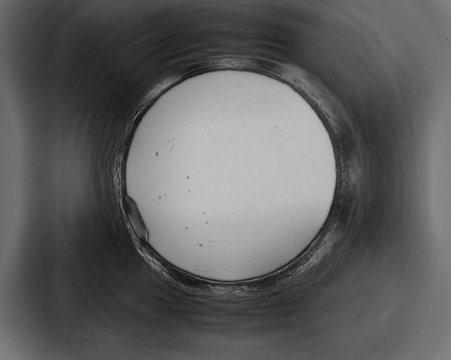 X0000086721049200705111551