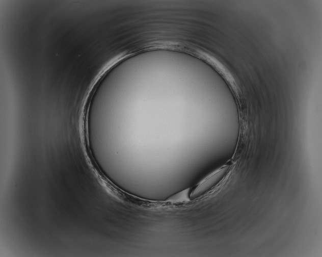 X0000086721050200705111551