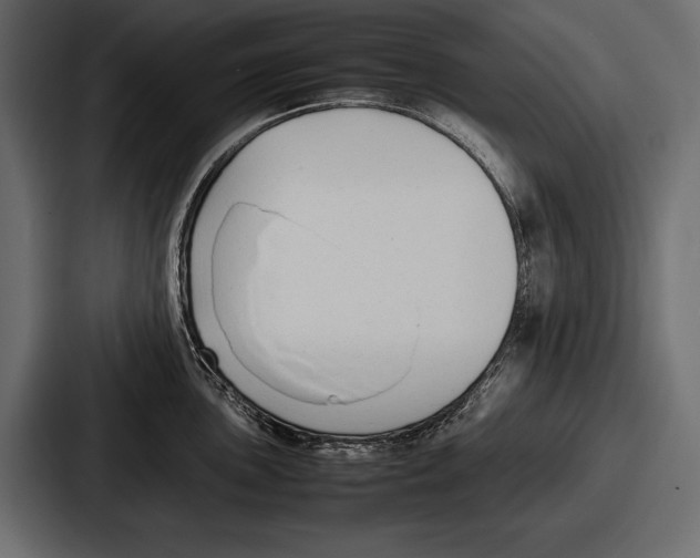 X0000086721051200705111551