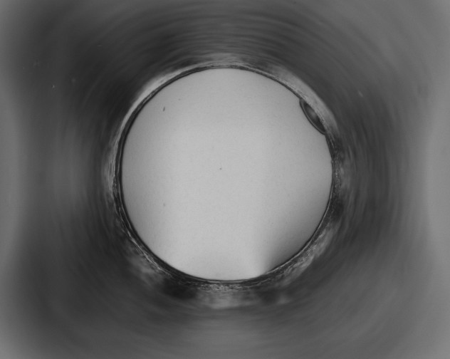 X0000086721052200705111551