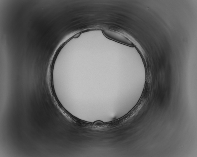 X0000086721053200705111551