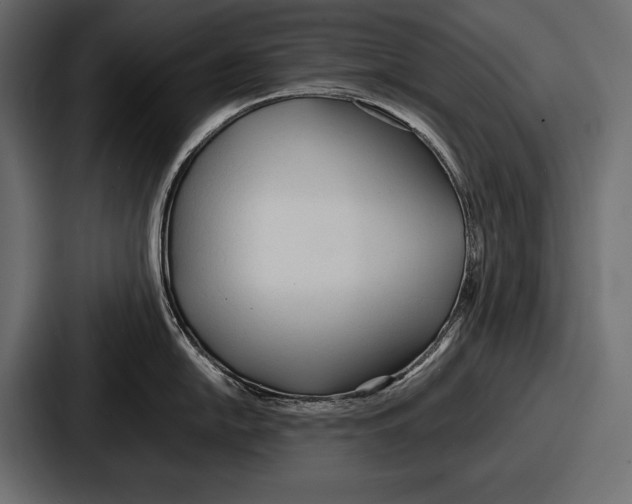 X0000086721054200705111551