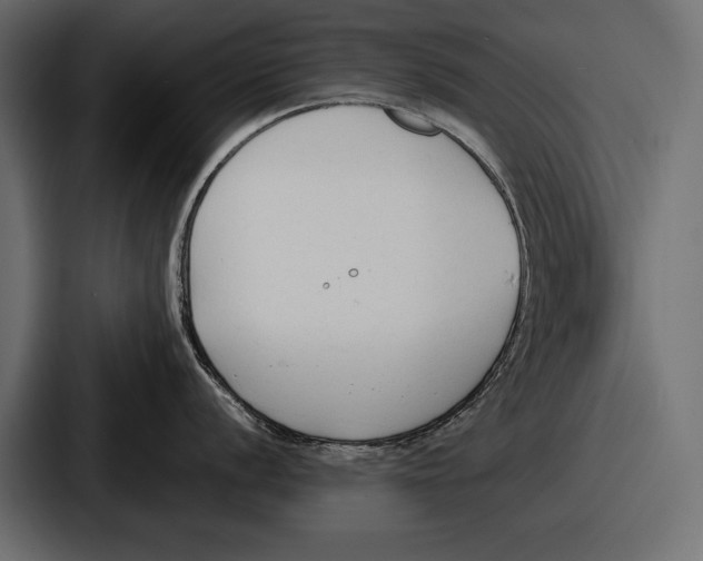 X0000086721056200705111551