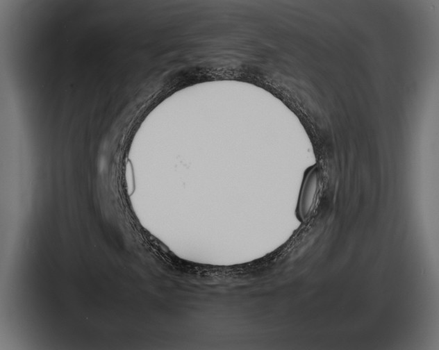 X0000086721057200705111550