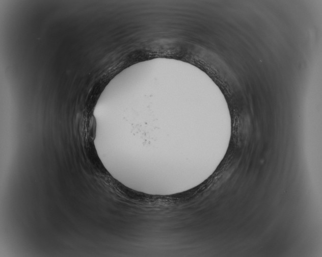 X0000086721058200705111550