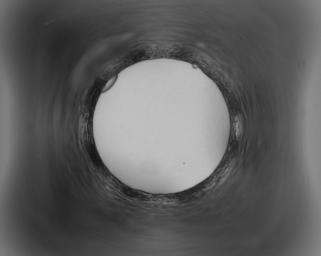 X0000086721059200705111550