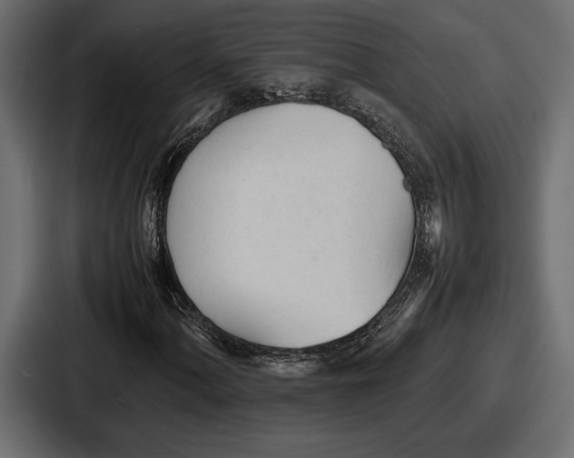 X0000086721060200705111550