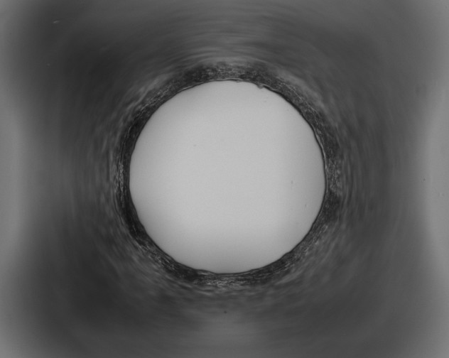 X0000086721061200705111550